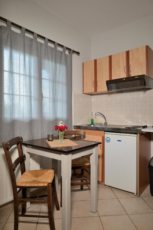 Artemis Apartments Konitsa Eksteriør billede