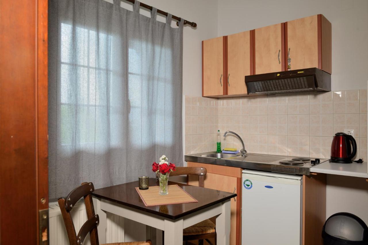 Artemis Apartments Konitsa Eksteriør billede