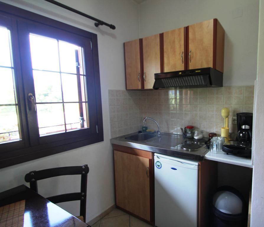 Artemis Apartments Konitsa Værelse billede