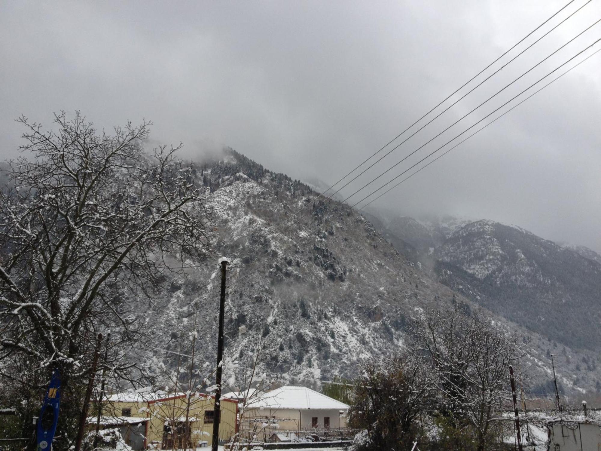 Artemis Apartments Konitsa Eksteriør billede