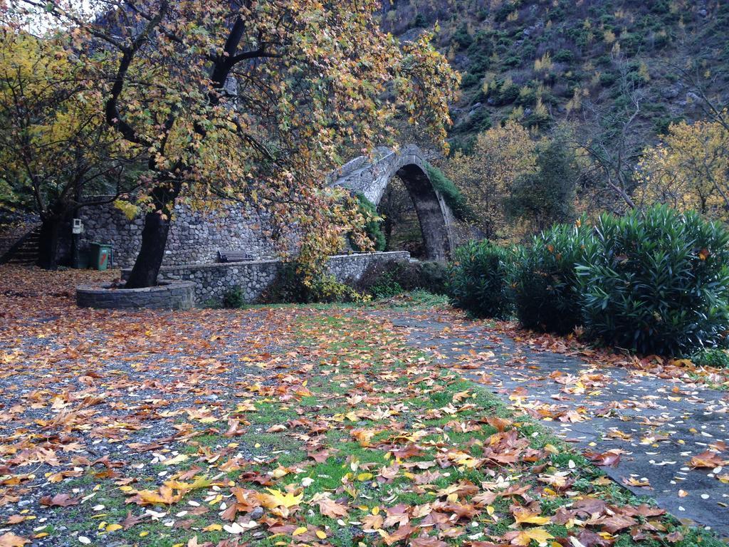 Artemis Apartments Konitsa Eksteriør billede