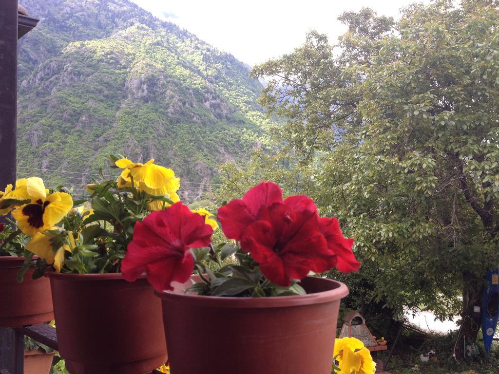 Artemis Apartments Konitsa Værelse billede