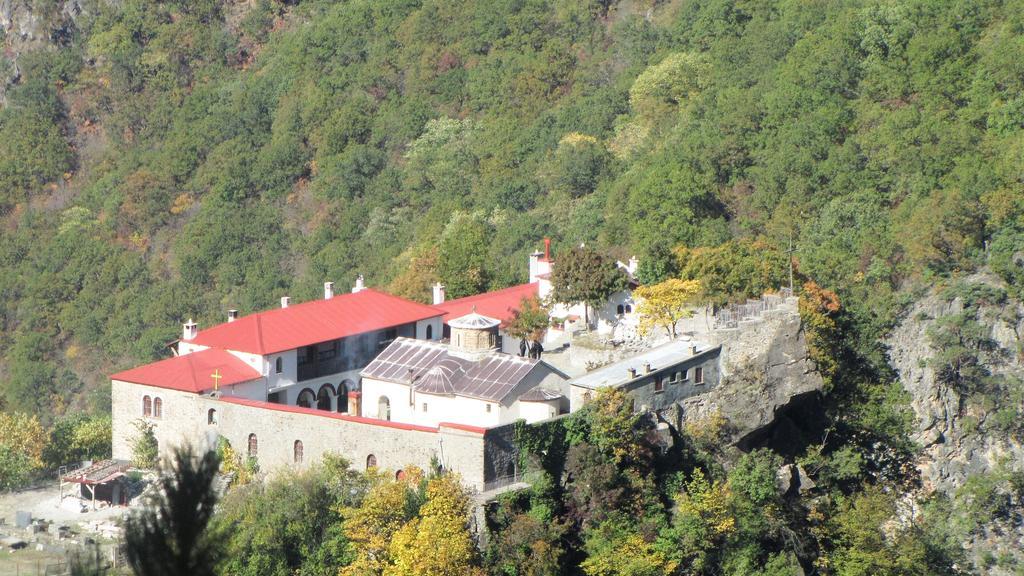 Artemis Apartments Konitsa Eksteriør billede